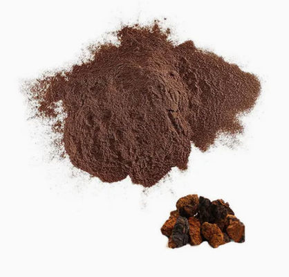Natürliche 10% bis 50% Polysaccharide Chaga-Extrakt Pulver-Extrakt CAS 84650-60-9