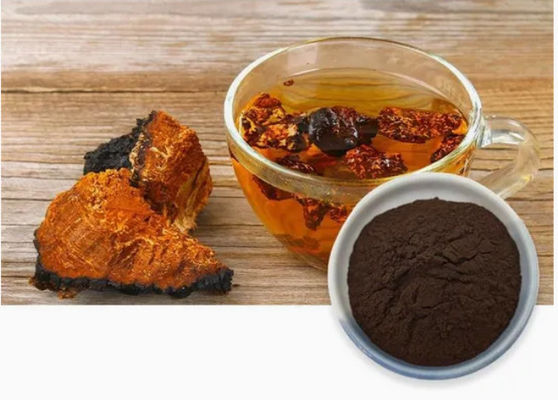 Natürliche 10% bis 50% Polysaccharide Chaga-Extrakt Pulver-Extrakt CAS 84650-60-9