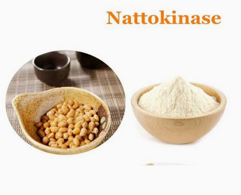 Natürliche Zutaten Gesundheitsfürsorge Nattokinase Enzyme Extrakt CAS 133876-92-3 Nattokinase