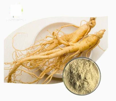 Natürlicher organischer Ginseng-Extrakt hoher Qualität CAS NO 90045-38-8 Ginseng-Monomer-Saponine