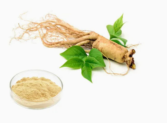 Natürlicher organischer Ginseng-Extrakt hoher Qualität CAS NO 90045-38-8 Ginseng-Monomer-Saponine