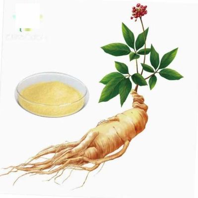 Natürlicher organischer Ginseng-Extrakt hoher Qualität CAS NO 90045-38-8 Ginseng-Monomer-Saponine