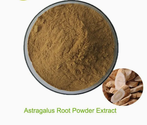 Astragalus-Extrakt mit Astragaloside A Cycloastragenol Polysaccharide CAS 84687-43-4