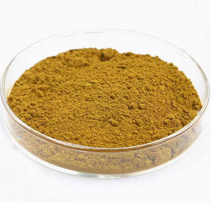 Astragalus-Extrakt mit Astragaloside A Cycloastragenol Polysaccharide CAS 84687-43-4