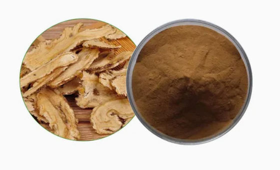 Chinesische Medizin Extrakt Rohstoff Angelica Extrakt CAS NO 84775-41-7 Gesundheit