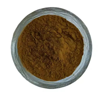 Chinesische Medizin Extrakt Rohstoff Angelica Extrakt CAS NO 84775-41-7 Gesundheit