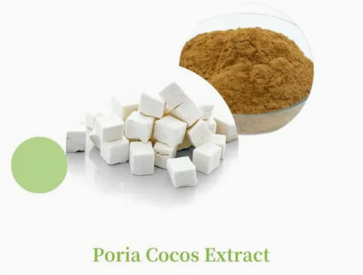 Herbway Pflanzenextrakt Pulver Poria Cocos Extrakt CAS NO 65637-98-1 50% Polysaccharid