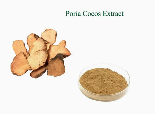 Herbway Pflanzenextrakt Pulver Poria Cocos Extrakt CAS NO 65637-98-1 50% Polysaccharid