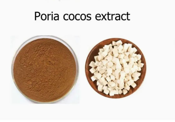 Herbway Pflanzenextrakt Pulver Poria Cocos Extrakt CAS NO 65637-98-1 50% Polysaccharid
