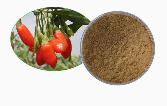 Natürliches reines Antioxidans Wolfberry-Extrakt CAS NO 11-40-5 Goji-Beere-Extrakt