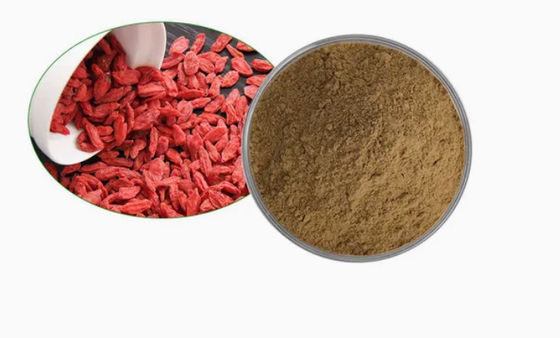 Natürliches reines Antioxidans Wolfberry-Extrakt CAS NO 11-40-5 Goji-Beere-Extrakt