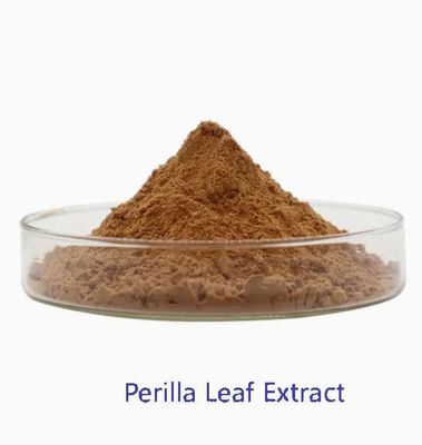 Natürliches Bio-Extrakt aus Perilla-Blättern CAS NO 90082-61-4 Einjährige Kräuterpulver