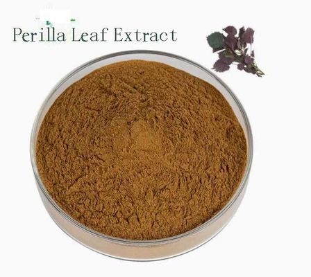Natürliches Bio-Extrakt aus Perilla-Blättern CAS NO 90082-61-4 Einjährige Kräuterpulver