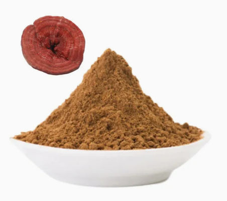Kräuterheilkunde Ganoderma Lucidum Spore Pulver CAS NO 223751-82-4 Natürliche organische