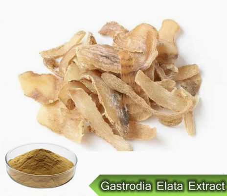 Arzneimittel Gesundheit Gastrodia Elata Extrakte CAS NO 62499-27-8 Gastrodia Elata BL