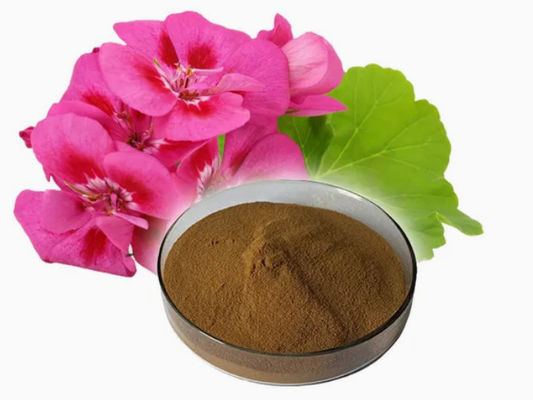 Bio-Lebensmittel-Geranium-Extraktpulver CAS NO 8000-46-2 Pelargonium Hortorum