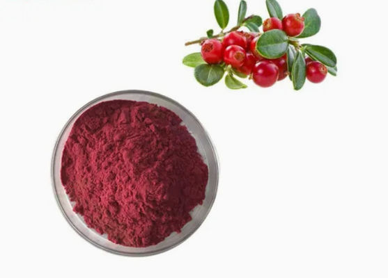 Frische natürliche Pure Cranberry Extrakte CAS NO 84929-27-1 Pulver 25% Anthocyanidin
