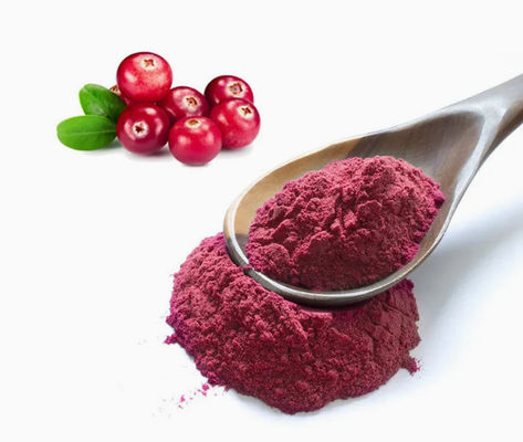 Frische natürliche Pure Cranberry Extrakte CAS NO 84929-27-1 Pulver 25% Anthocyanidin