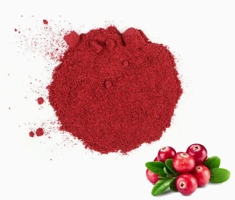 Frische natürliche Pure Cranberry Extrakte CAS NO 84929-27-1 Pulver 25% Anthocyanidin