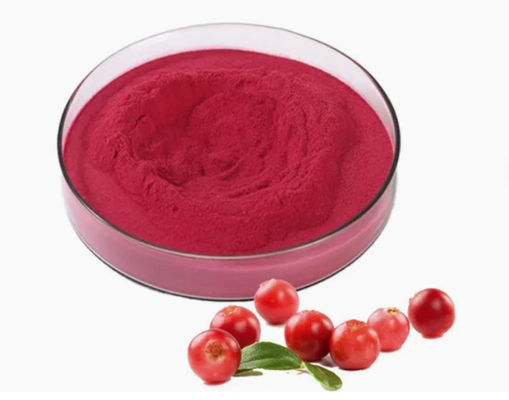 Frische natürliche Pure Cranberry Extrakte CAS NO 84929-27-1 Pulver 25% Anthocyanidin