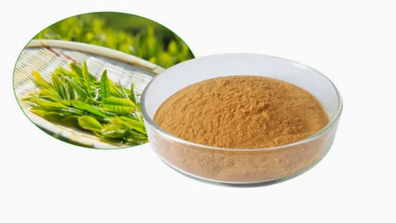 Pflanzliche natürliche Ernährungsmittel Grade Grüntee Extrakt Cas Nr. 989-51-5 Camellia Sinensis o.ktze