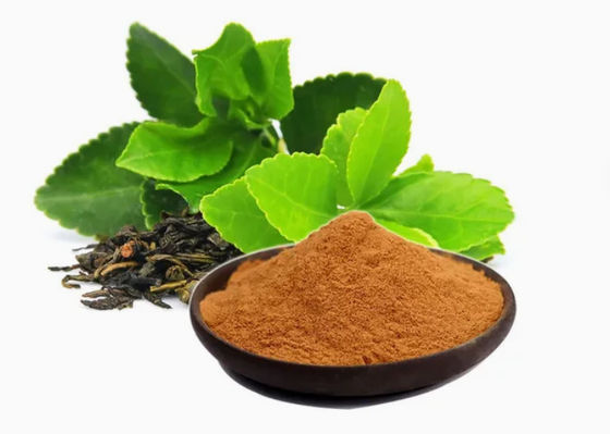 Pflanzliche natürliche Ernährungsmittel Grade Grüntee Extrakt Cas Nr. 989-51-5 Camellia Sinensis o.ktze