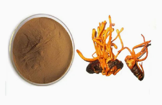 Organisch mit Selen angereichertes Cordyceps Militaris Pulver cAS NO 73-03-0 Heilpilz