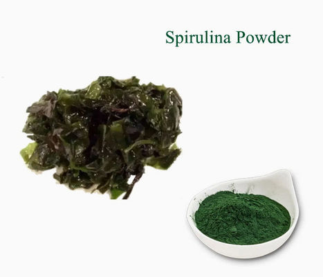 Pflanzenextrakte Nahrungsergänzungsmittel Spirulina CAS NO 724424-92-4 Grüne Algenpulver