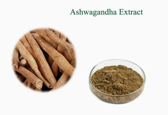 Pflanzliche Extrakt Ashwagandha Ayurvedische Extrakte CAS NO 90147-43-6 5% Withanolide Pulver