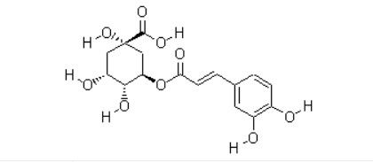 Pharmazeutische Schlüsselrohstoffe oder Zwischenprodukte Chlorogensäure CAS NO 327-97-9 Pulver