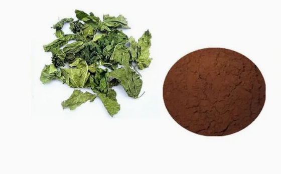 Pharmazeutische Schlüsselrohstoffe oder Zwischenprodukte Chlorogensäure CAS NO 327-97-9 Pulver