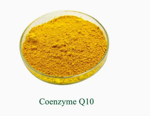 303-98-0 Ubidecarenon Coenzym Q10 Pulver Nahrungsergänzungsmittel