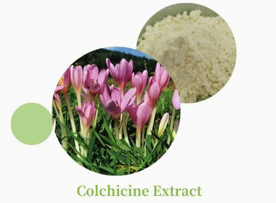 Pharmazeutische CAS-Nr. 64-86-8 Colchicine Extract USP/Ep 97~103% Colcemid Colchicine