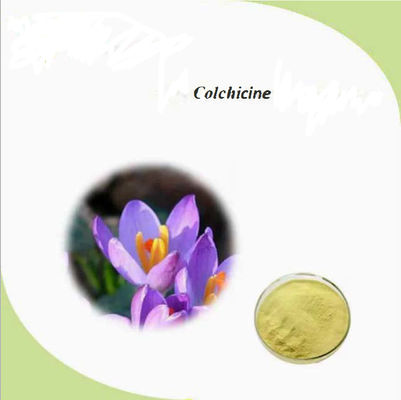 Pharmazeutische CAS-Nr. 64-86-8 Colchicine Extract USP/Ep 97~103% Colcemid Colchicine
