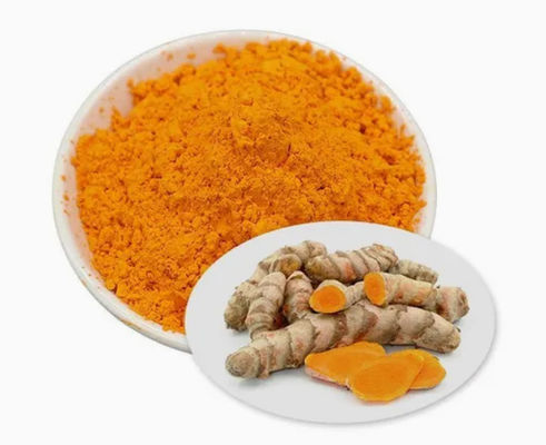 USP Certified Curcumin USP95 Percent Natural Organic Natural Yellow Powder
