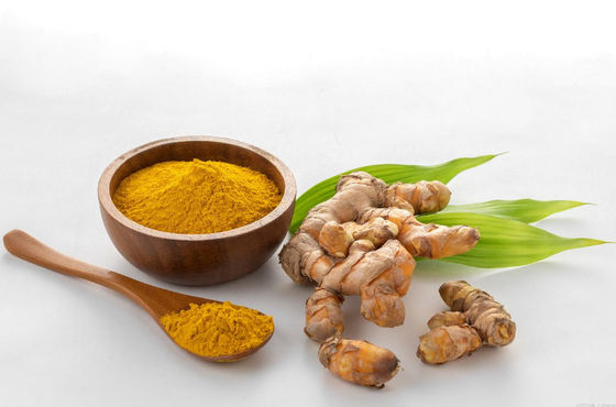 Biologisch zertifiziertes natürliches Curcuminpulver CAS NO 458-37-7 Pflanzenkurkuma-Wurzelextrakt