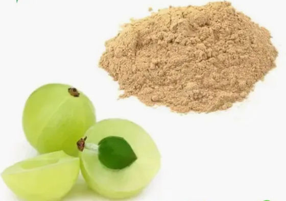 Biologische 10:1 Fructus Phyllanthi Extrakte CAS NO 90028-28-7 Fructus Phyllanthi Extrakt
