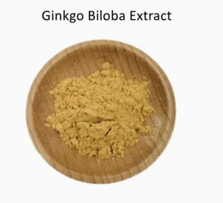 Arzneimittel Gesundheit Ginkgo Biloba Extrakt CAS NO 84696-15-1 Reines Naturpulver