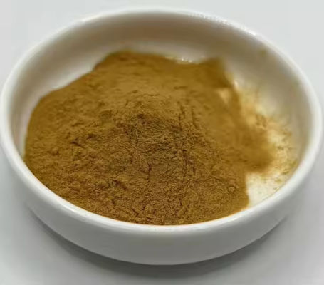 Arzneimittel Gesundheit Ginkgo Biloba Extrakt CAS NO 84696-15-1 Reines Naturpulver