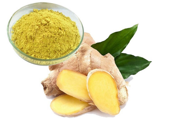 Arzneimittel Gesundheit Ginkgo Biloba Extrakt CAS NO 84696-15-1 Reines Naturpulver
