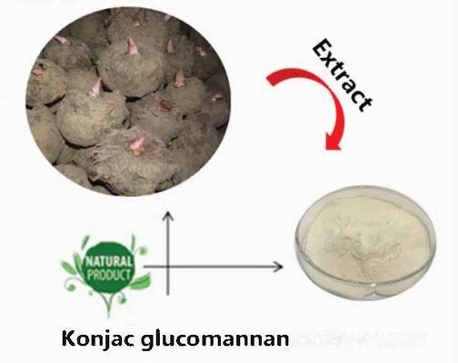 Natürliches Konjac-Glucomannanpulver CAS NO 37220-17-0 Reinheit Konjac-Wurzel-Extraktpulver