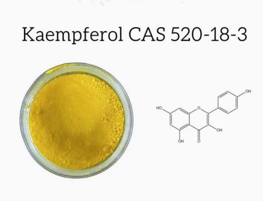 Ergänzung zur Gesundheitsversorgung Kaempferol Pulver Galanga-Extrakt CAS 520-18-3 Pure Natura