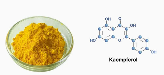 Ergänzung zur Gesundheitsversorgung Kaempferol Pulver Galanga-Extrakt CAS 520-18-3 Pure Natura