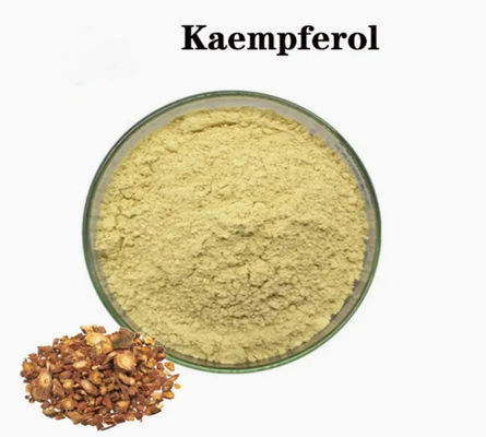 Ergänzung zur Gesundheitsversorgung Kaempferol Pulver Galanga-Extrakt CAS 520-18-3 Pure Natura