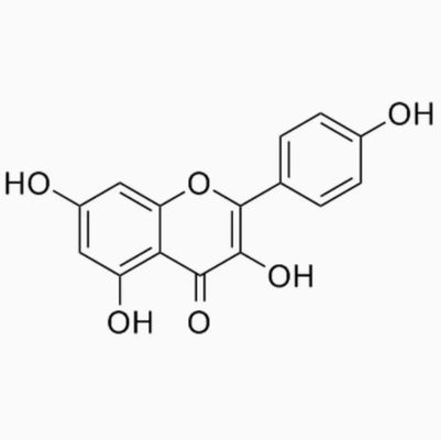 Ergänzung zur Gesundheitsversorgung Kaempferol Pulver Galanga-Extrakt CAS 520-18-3 Pure Natura