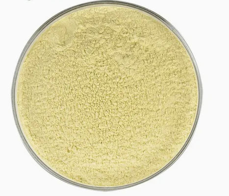Gesundheitsergänzung Kaempferol-Pulver Galgant-Extrakt CAS-Nr. 520-18-3 Pure Natura
