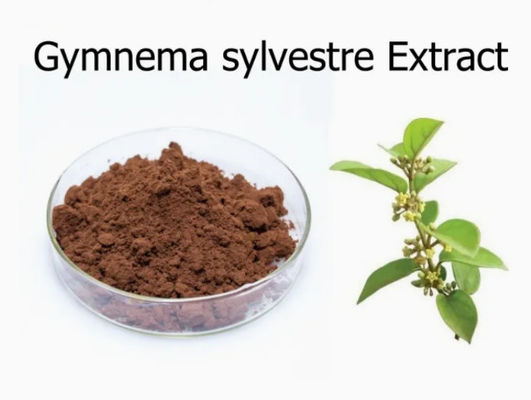 Pflanzenextrakt Gymnema Sylvestre Extrakt CAS NO 90045-47-9 Wurzel- oder Kräuterextrakt in Pulverform