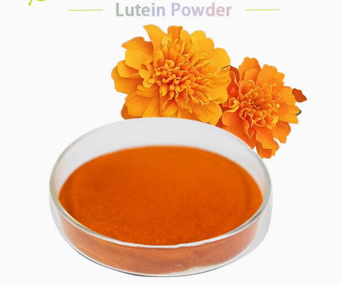 Natürliches Lutein 5% 20% Pulver CAS-Nr. 127-40-2 Natürliches Futtermittelpigmentpulver