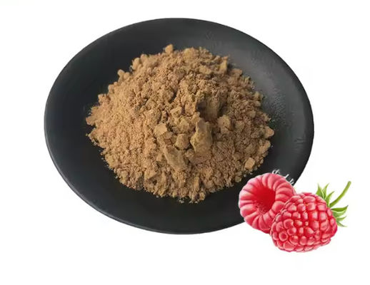Natürlicher Himbeerextrakt 10/1 CAS NO 38963-94-9 Reines Extraktpulver Himbeerextraktpulver