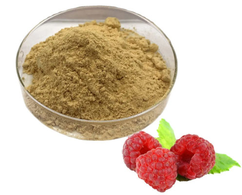 Natürlicher Himbeerextrakt 10/1 CAS NO 38963-94-9 Reines Extraktpulver Himbeerextraktpulver